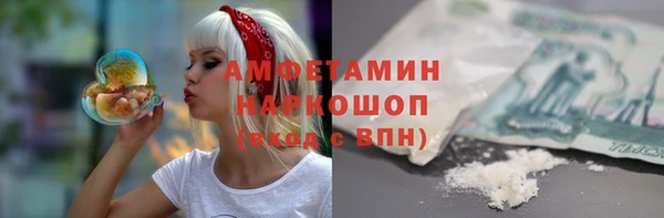 гашик Аркадак