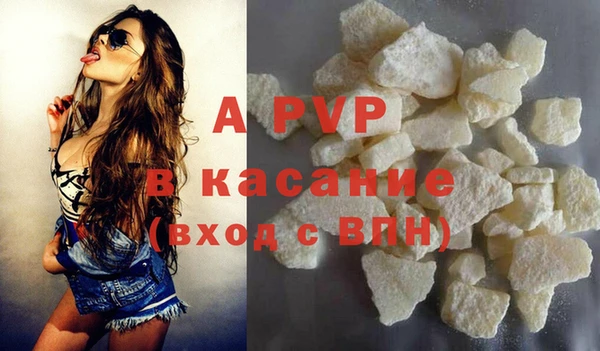 гашик Аркадак
