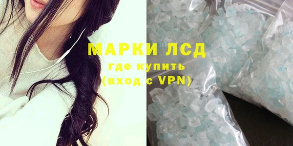 гашик Аркадак