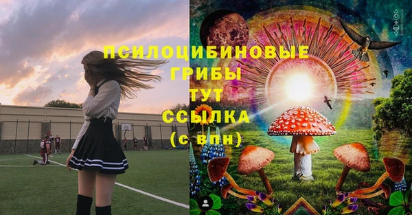 гашик Аркадак