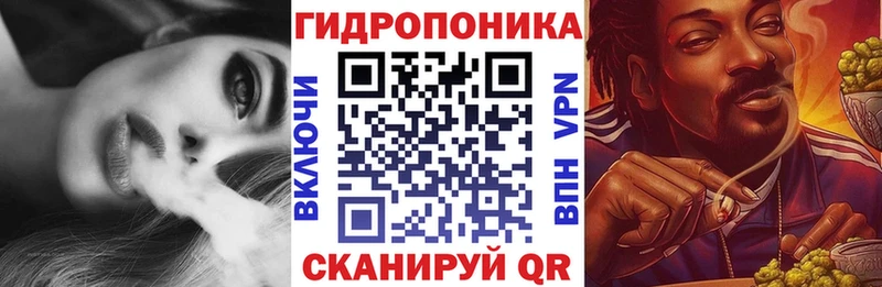 Конопля сатива Купить где Бокситогорск